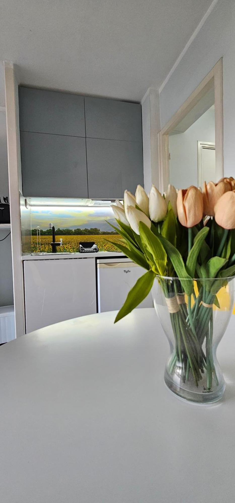 Appartement Affitto-Nizza Extérieur photo